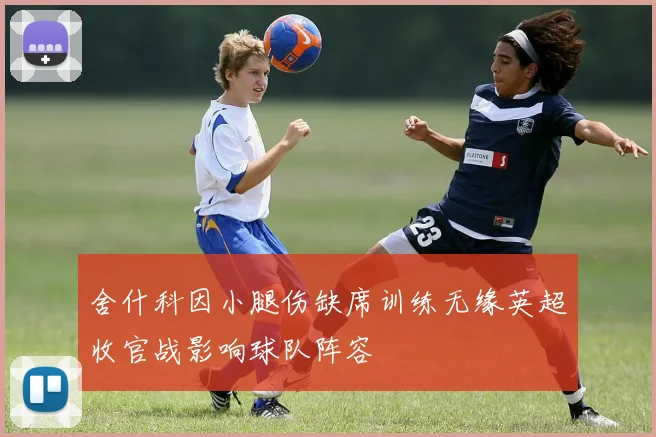 舍什科因小腿伤缺席训练无缘英超收官战影响球队阵容